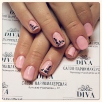 Покрытие гель лак (Shellac) + маникюр + дизайн 590 руб.